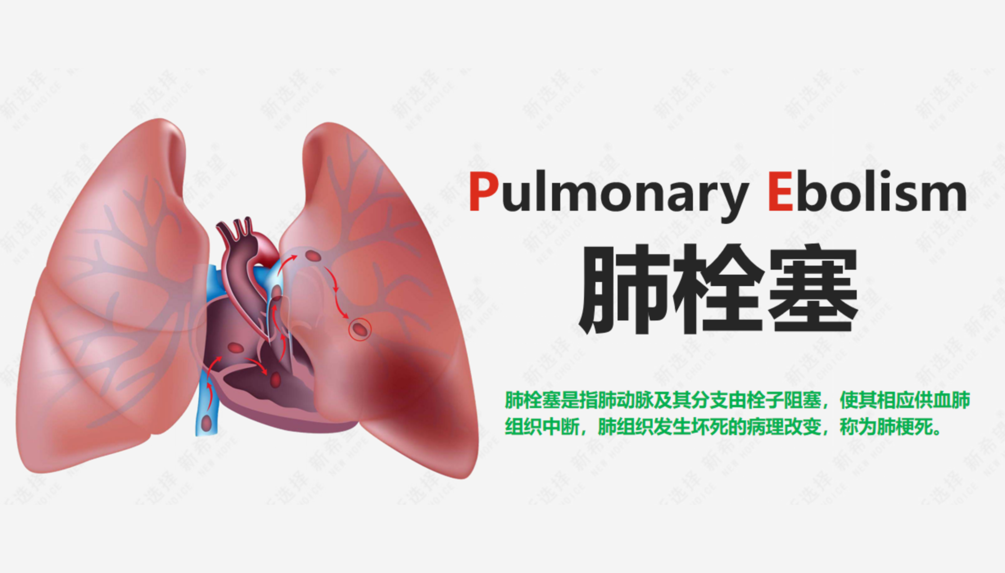 詩和遠方 讓健康與靈魂共享