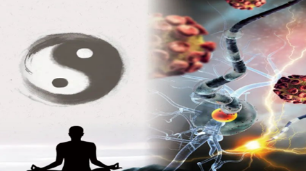 雖然醫(yī)療技術(shù)在不斷進步 但預(yù)防始終是最好的治療——論從源頭維護健康的必要性和重要性