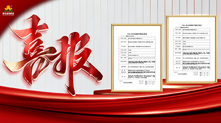 重磅捷報！雙證落地！新希望醫(yī)療深耕VTE防治，康復(fù)領(lǐng)域再添硬核利器