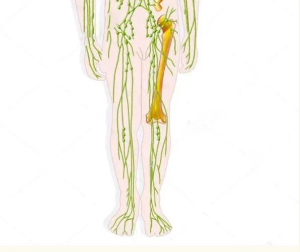 深靜脈血栓類似病癥的認(rèn)識(shí)與區(qū)分 深靜脈血栓類似病癥的認(rèn)識(shí)與區(qū)分