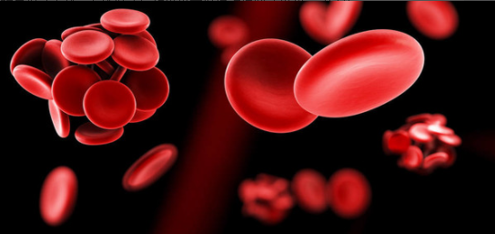 VTE在康復(fù)科的宣傳 VTE在康復(fù)科的宣傳