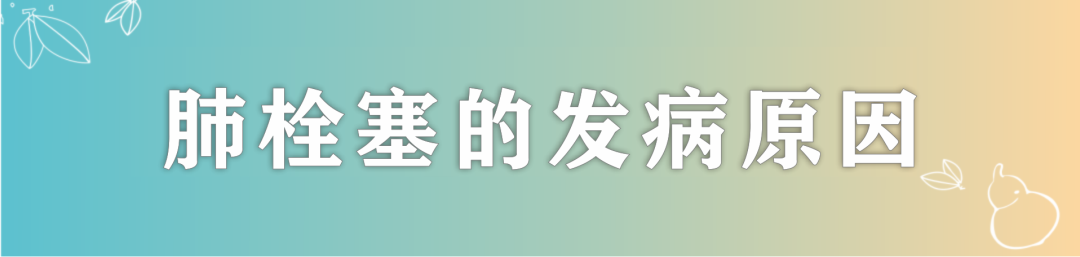“沉默殺手”肺栓塞(上)
