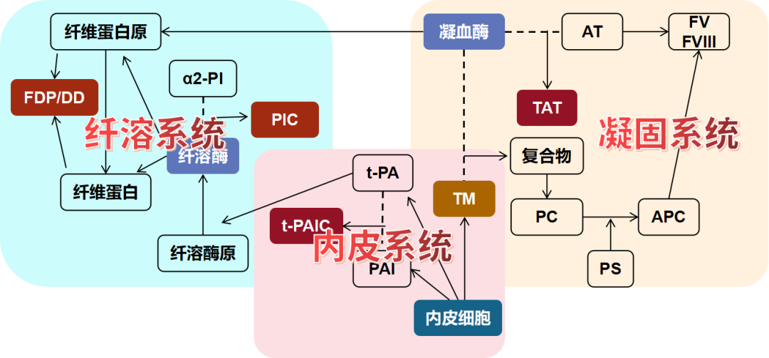 血栓性疾病的新型分子標(biāo)志物—血栓四項(xiàng) 血栓性疾病的新型分子標(biāo)志物—血栓四項(xiàng)