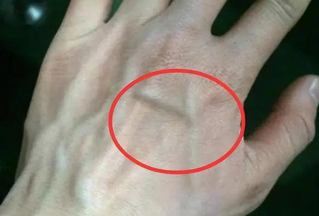 1微信截圖_20240412090457