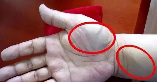 2微信截圖_20240412090457