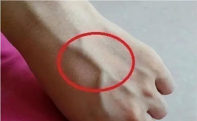 3微信截圖_20240412090457