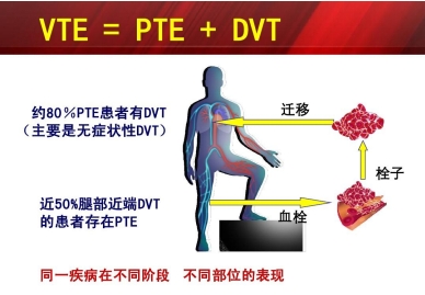 1微信截圖_20240412090457