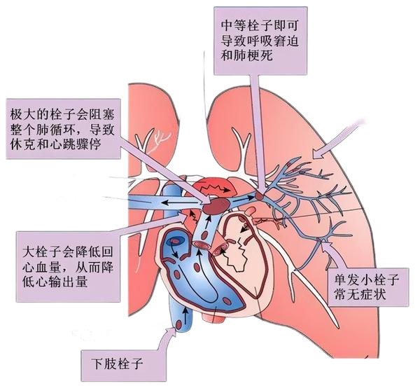 3微信截圖_20240412090457