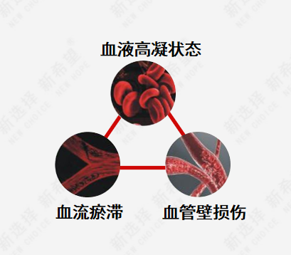 2微信截圖_20240412090457 2微信截圖_20240412090457