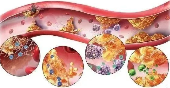 3微信截圖_20240412090457